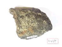 藏品(頭骨碎塊)的圖片